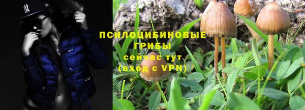 прущие крисы Белоозёрский