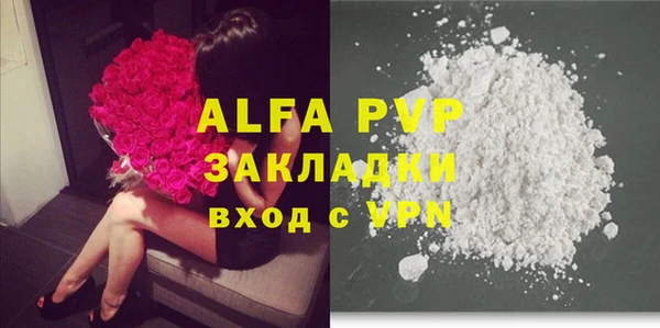 a pvp Белокуриха