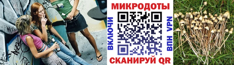 магазин    hydra маркетплейс  Псилоцибиновые грибы GOLDEN TEACHER  Шумиха 
